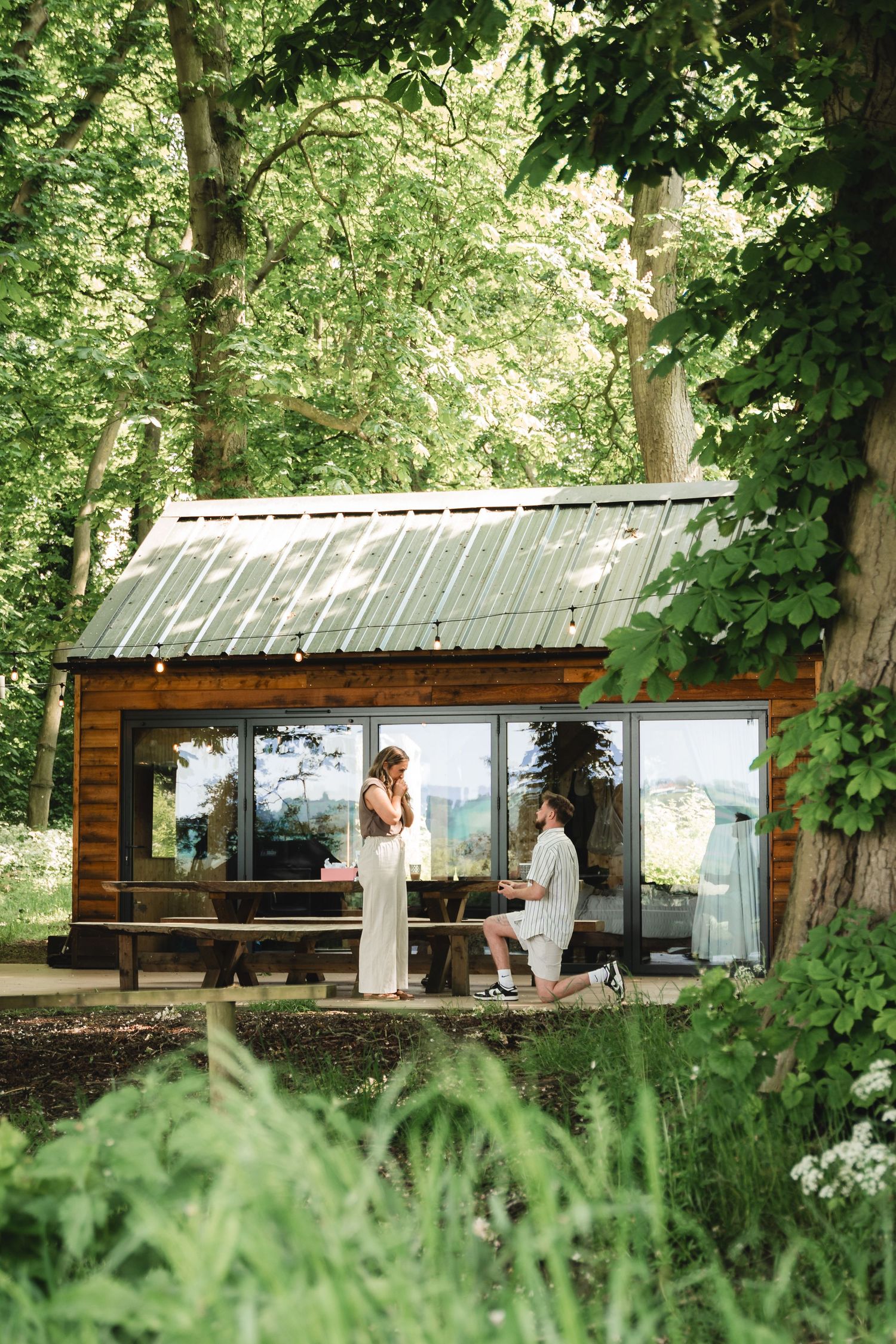 Rustic log cabin with panoramic windows sits surrounded by lush summer greenery.