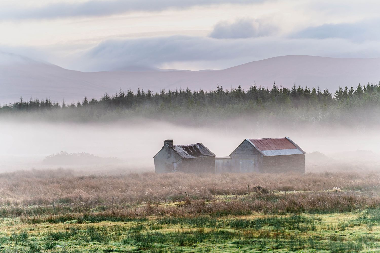 Misty rural landscape with evergreen forest and mountains in the background.