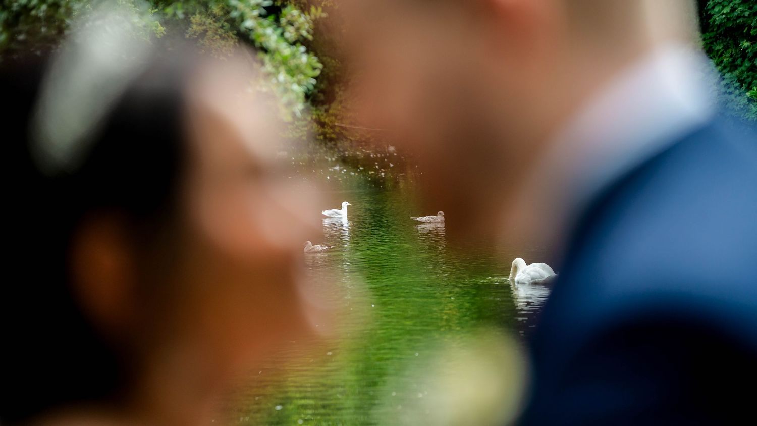 Artistic blurred wedding photography with soft bokeh effects in natural outdoor setting.