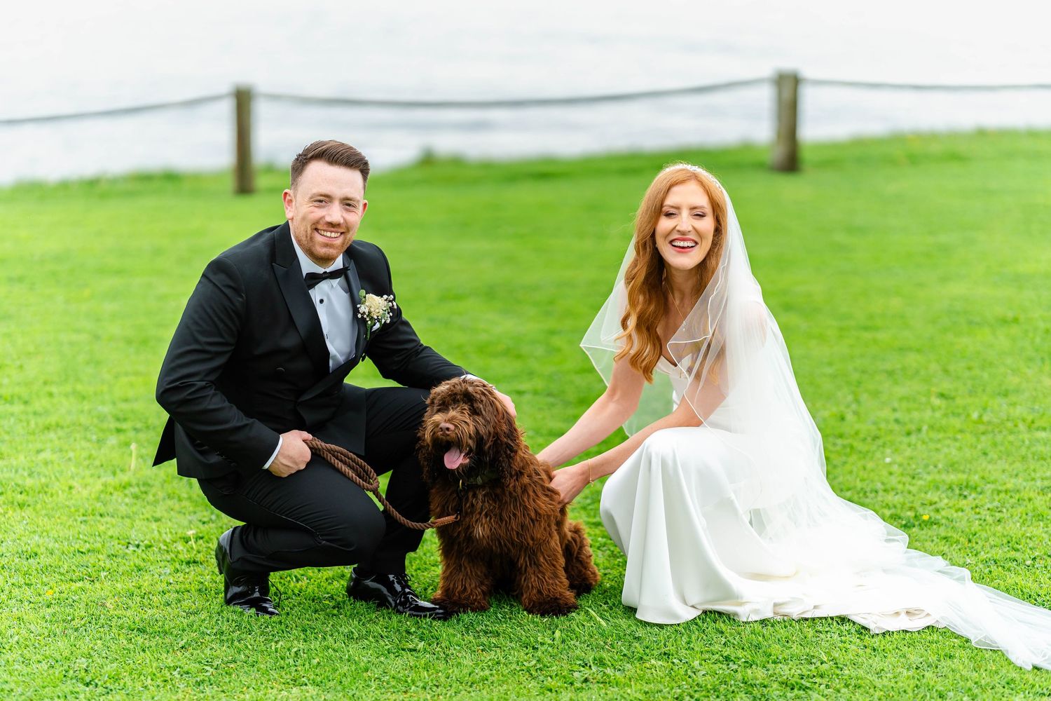 Wedding couple plays with brown dog on green lawn during photo session.