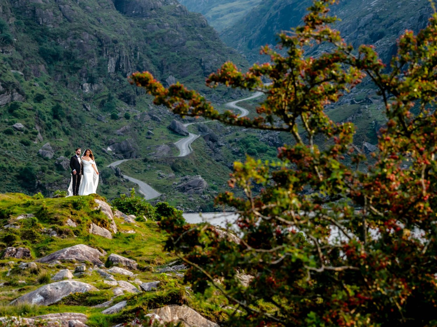 Scenic mountain vista with yellow gorse flowers and curving mountain road.