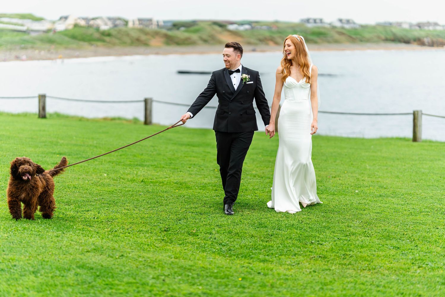 A couple in wedding attire walks their brown dog on lush green grass near a waterfront.