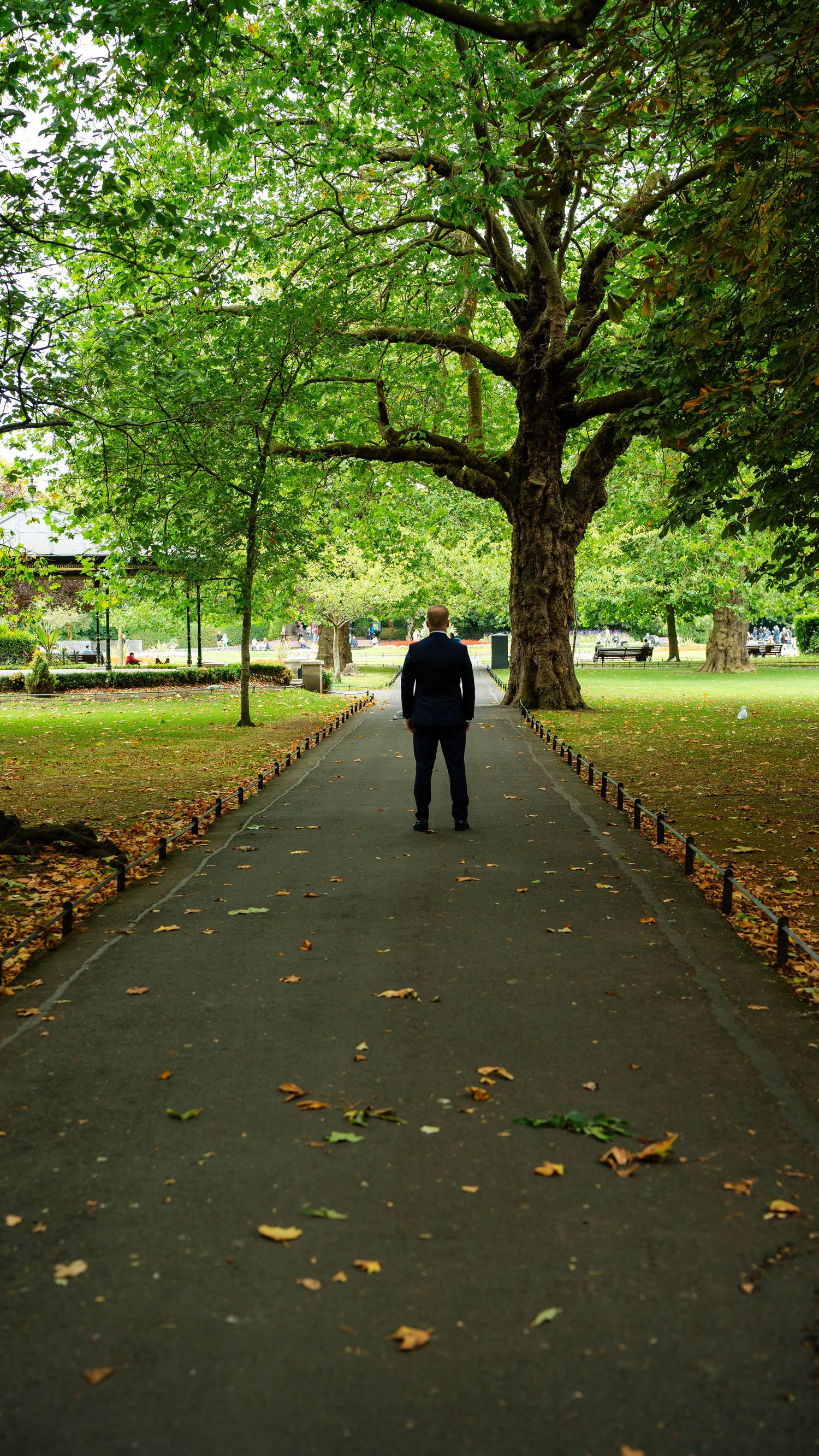Long pathway through a park with green trees and fallen leaves creating a natural wedding aisle.