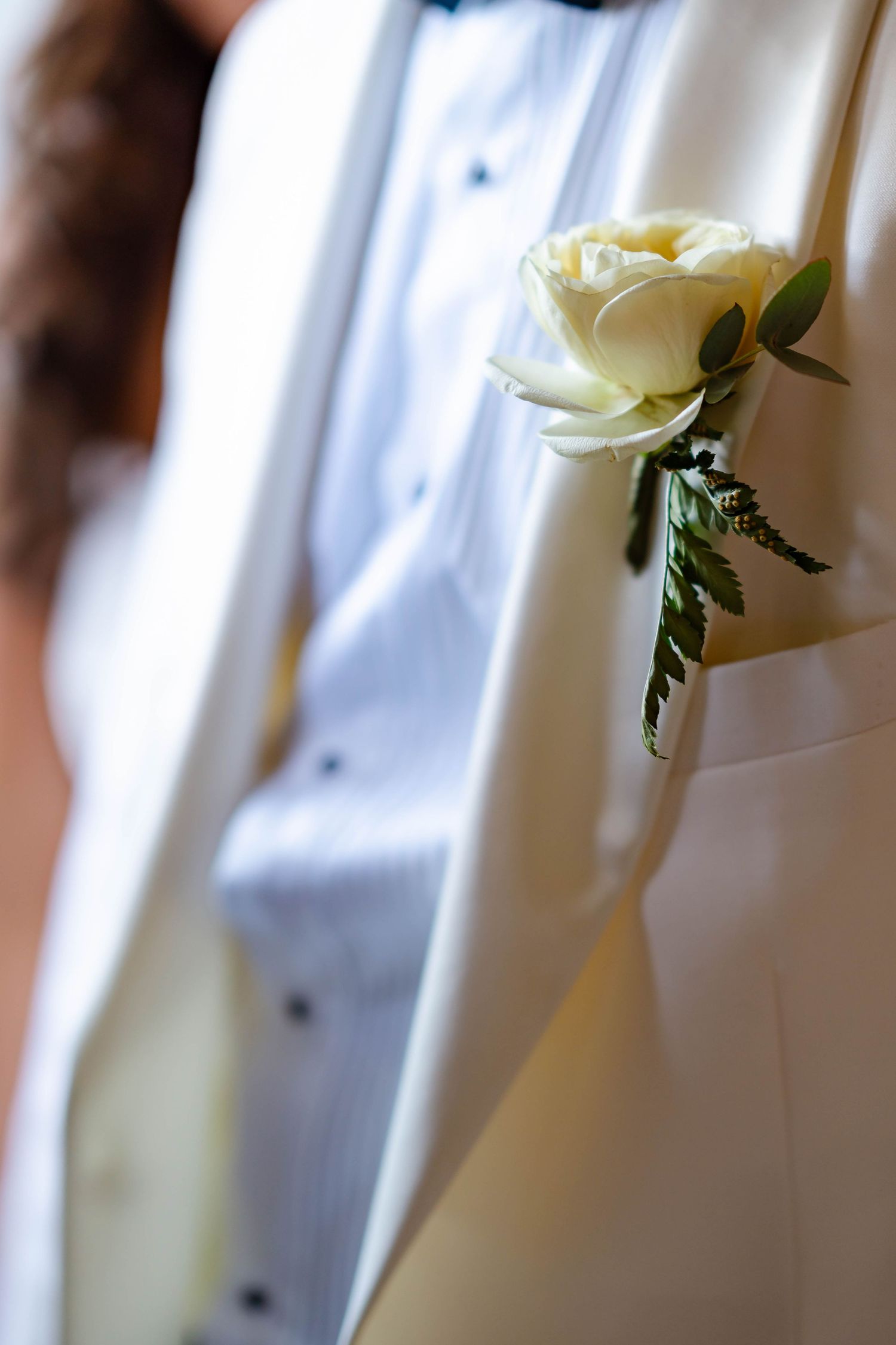 White roses with green leaves arranged in a row against a soft blurred background with white curtains.