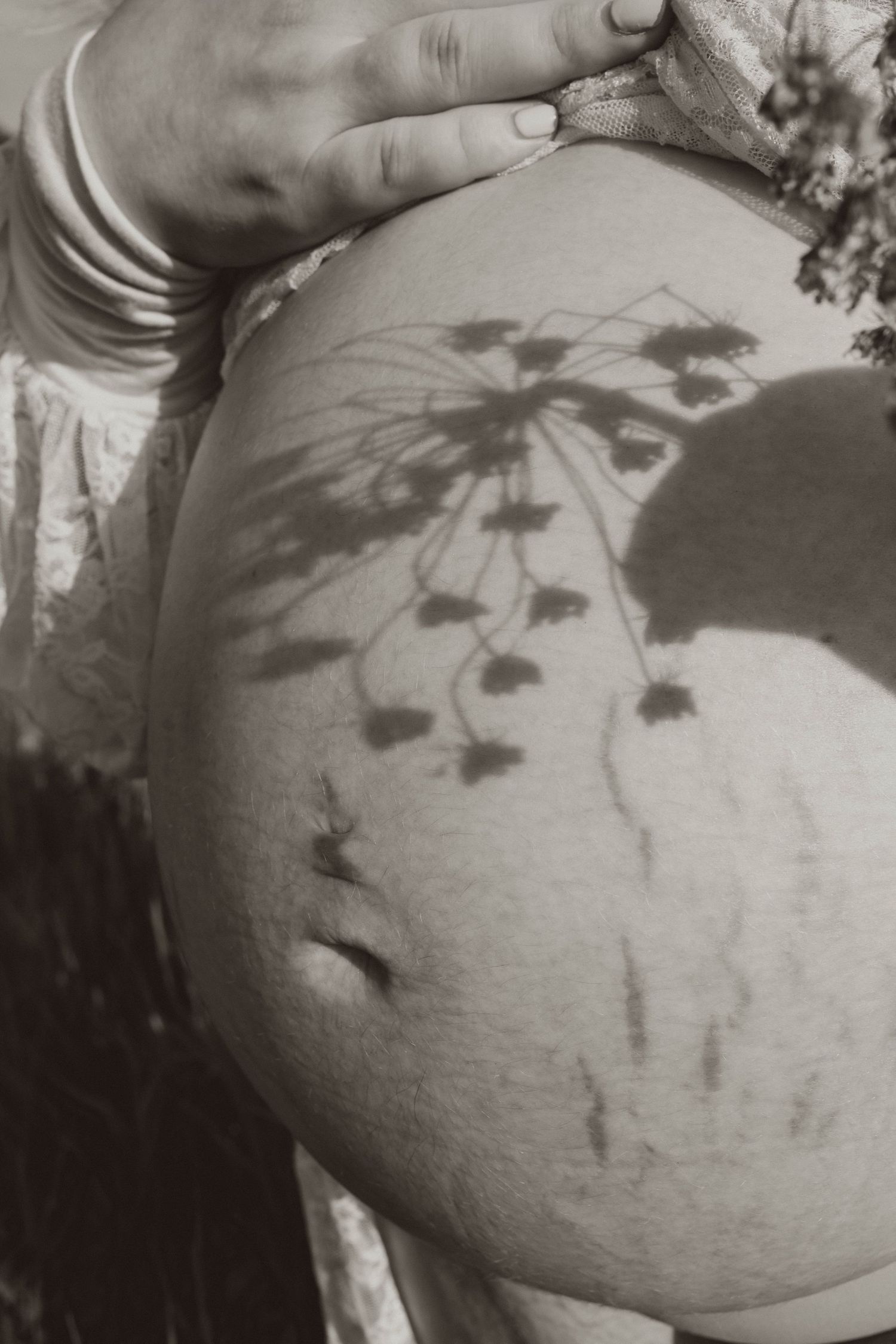 Black and white photo of a pregnant belly with delicate flower shadows cast across the skin outdoors.