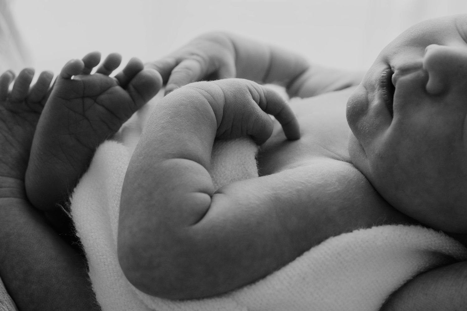 Black and white close-up photo of a baby's tiny feet in a row showing newborn details.
