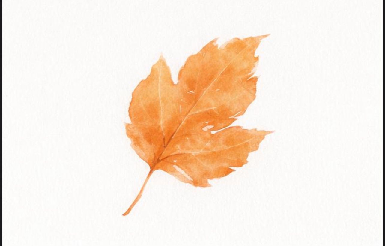Five orange watercolor autumn maple leaves arranged in a row on white background.