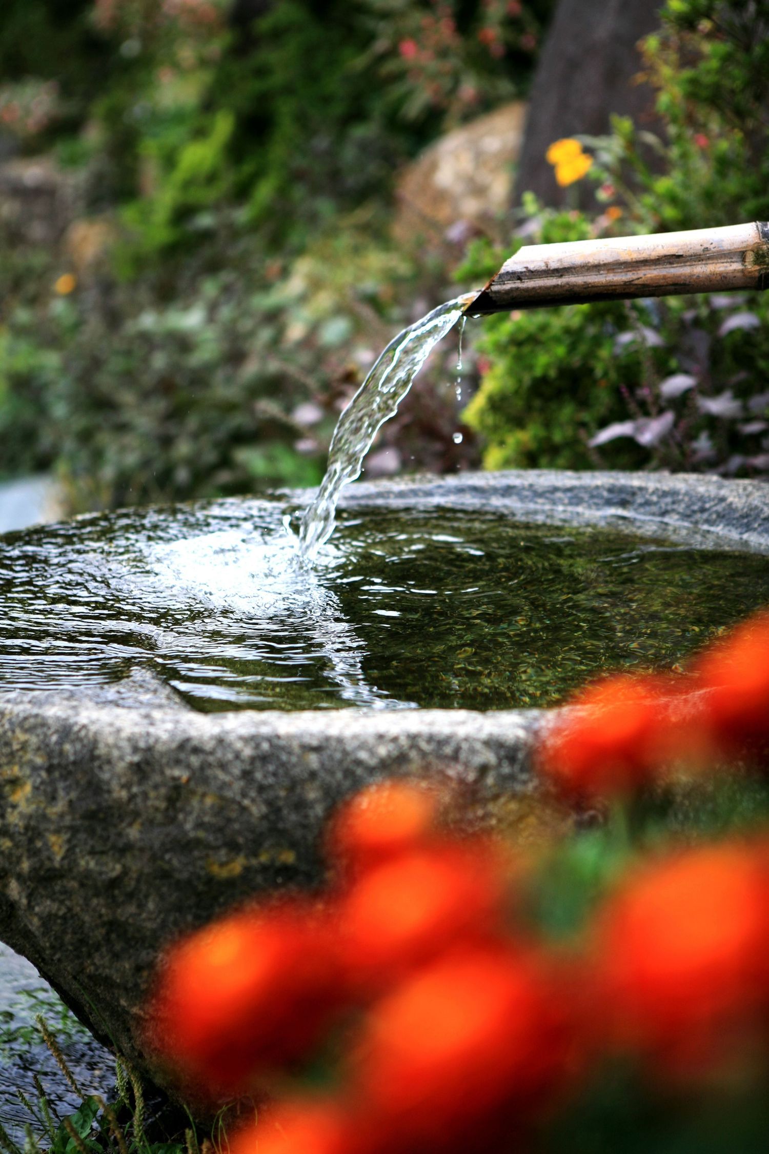 Scenic waterfall landscape used for background