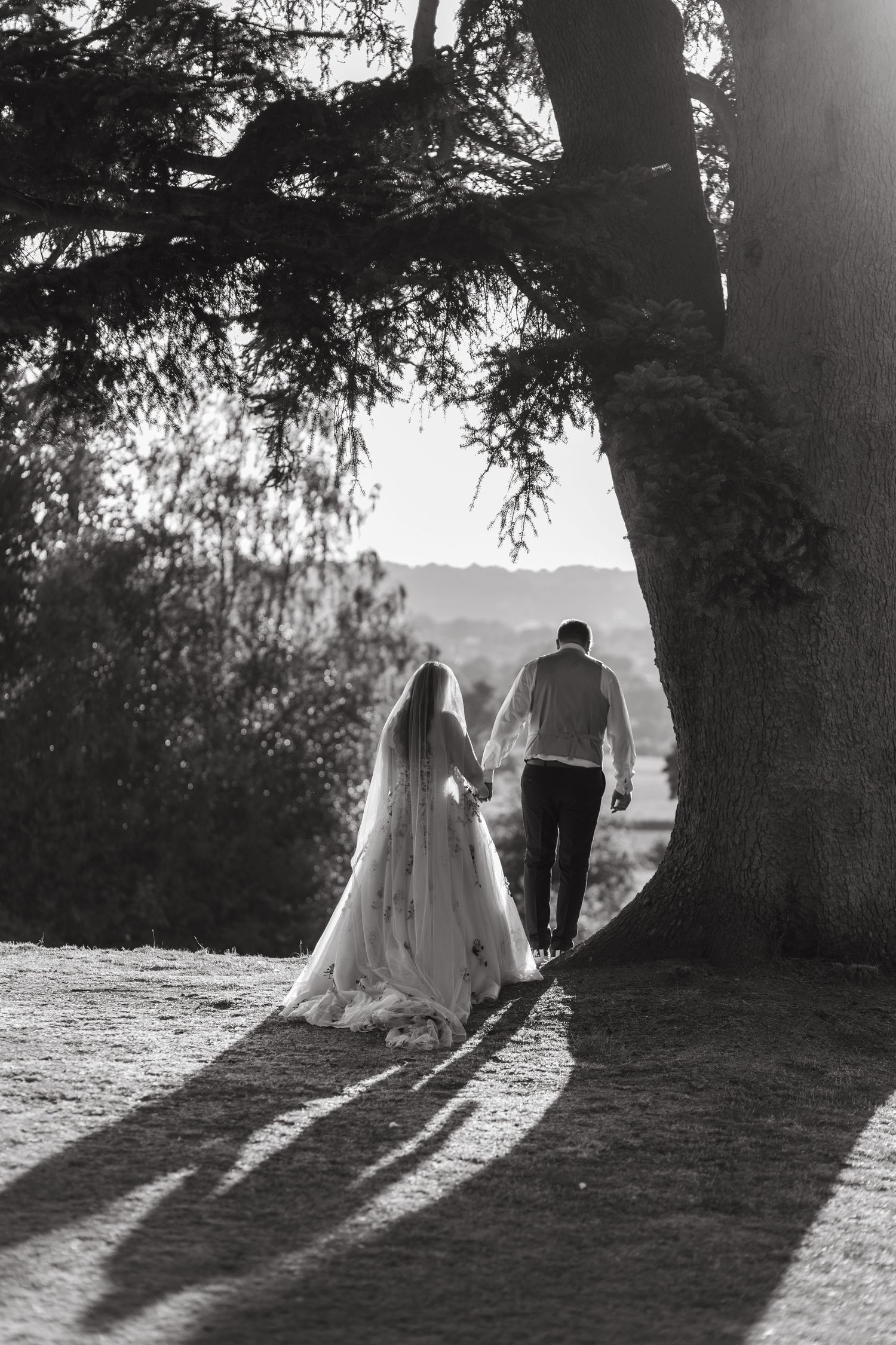 A wedding couple walks together under large trees creating dramatic shadows during a sunset photo session.