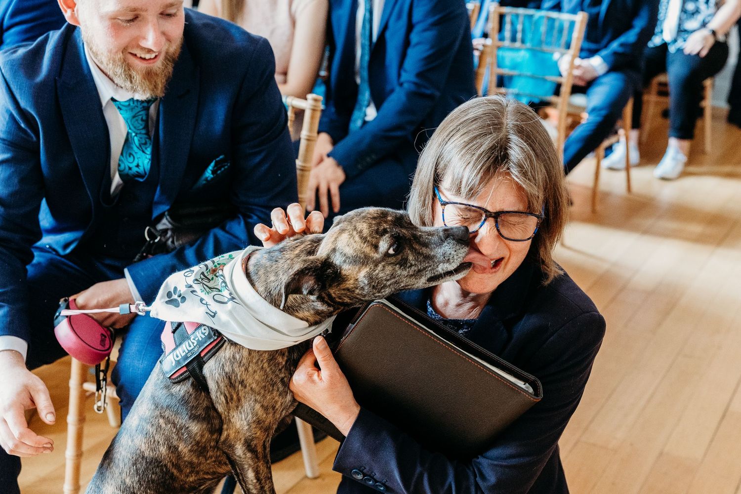 Playful gray dog gives affectionate kisses to person wearing black sweater during indoor gathering.