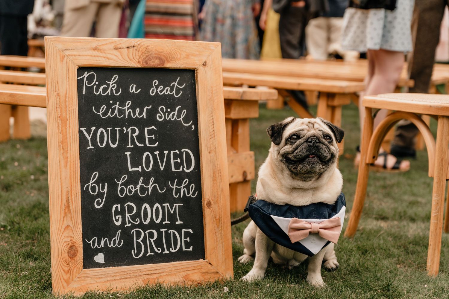 A pug in formal attire sits next to a wedding sign welcoming guests to pick a seat at an outdoor venue.