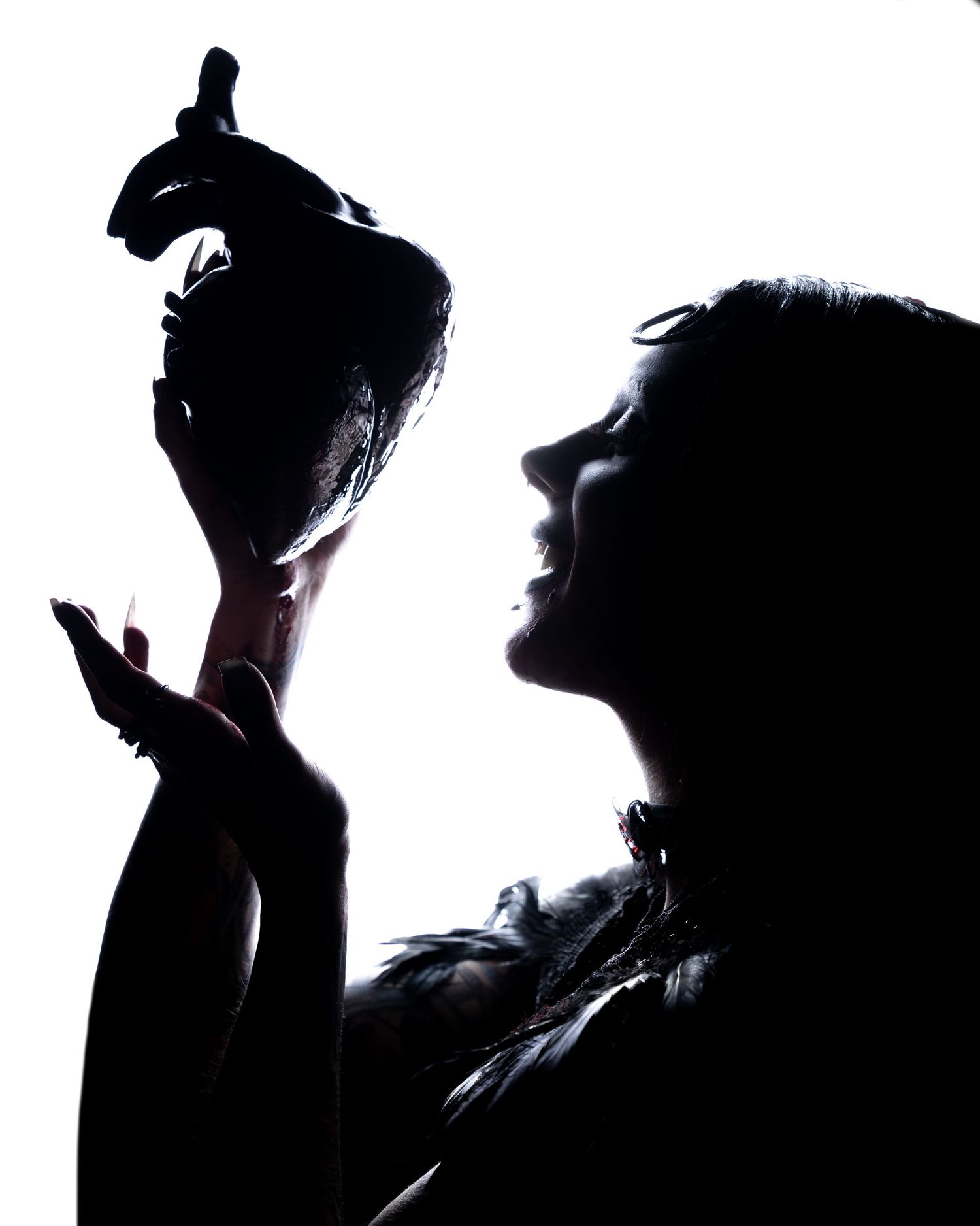 Dramatic silhouette of a woman holding a dark bird against a bright white background in artistic profile pose.