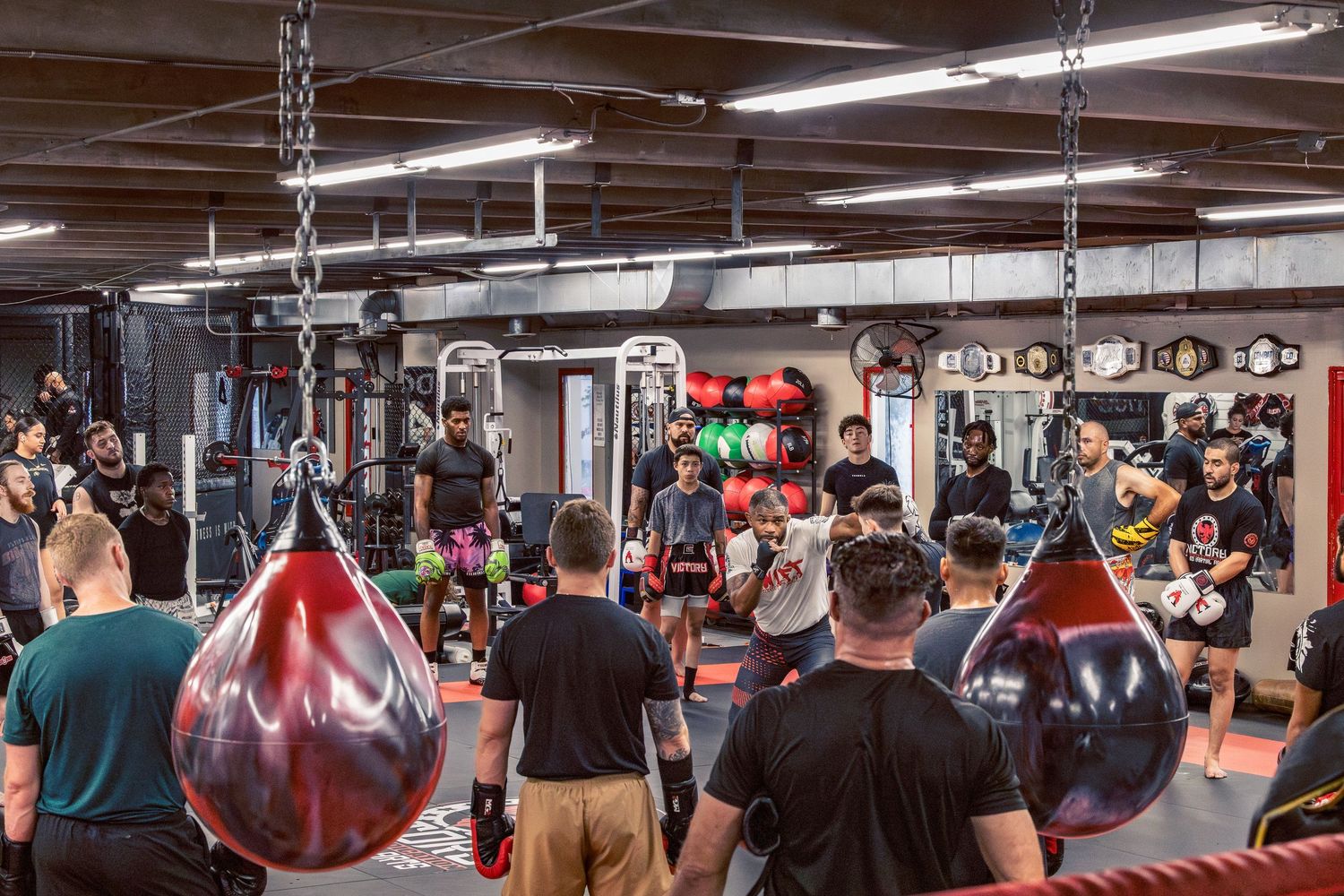 Combat sports gym interior featuring hanging heavy bags, training equipment, and active practitioners.