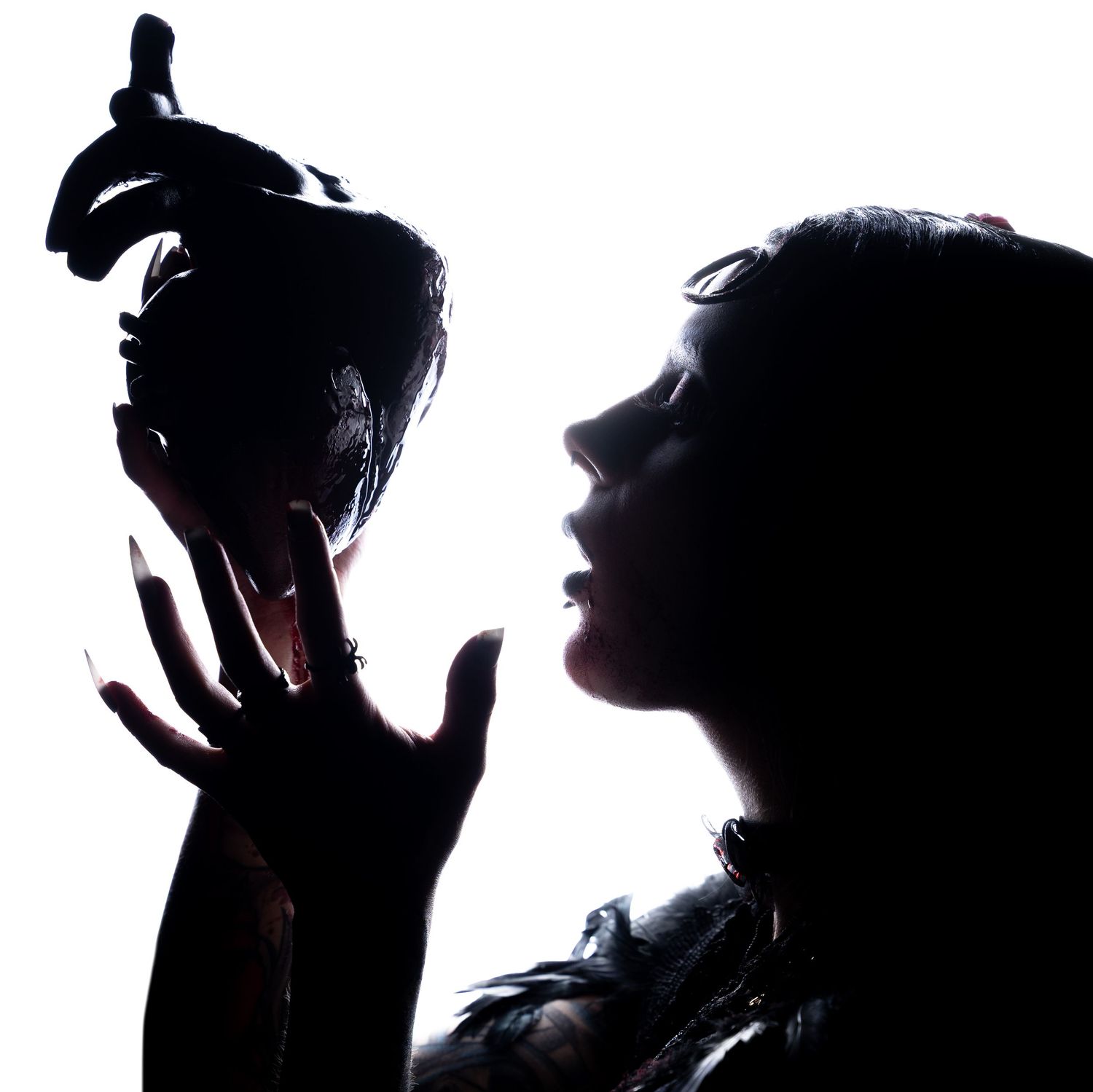 Dramatic silhouette of a woman holding a dark bird against a bright white background.