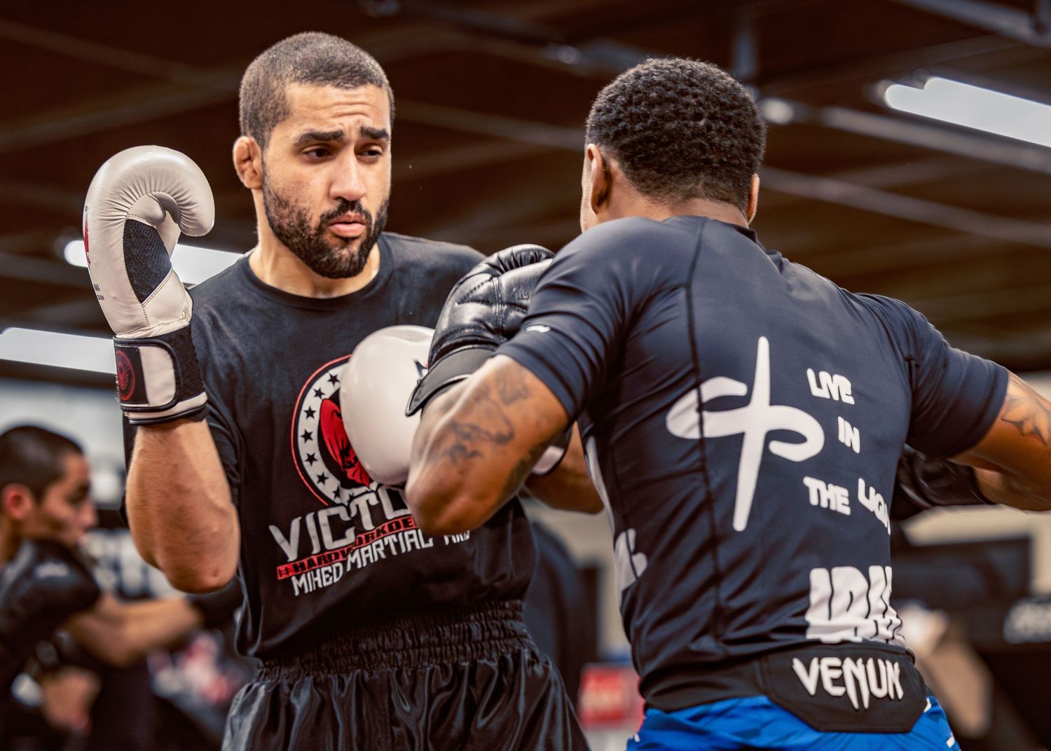 Athletes in boxing gear practicing defensive stances during a training session.