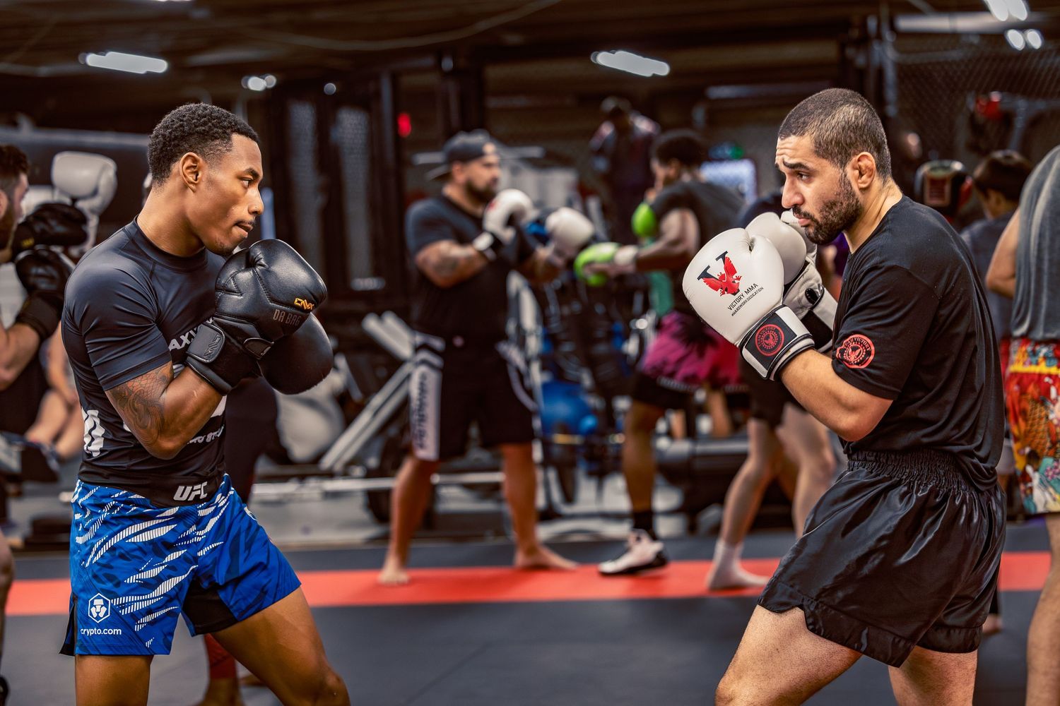 Combat sports training session with multiple pairs of fighters practicing techniques on red mats.