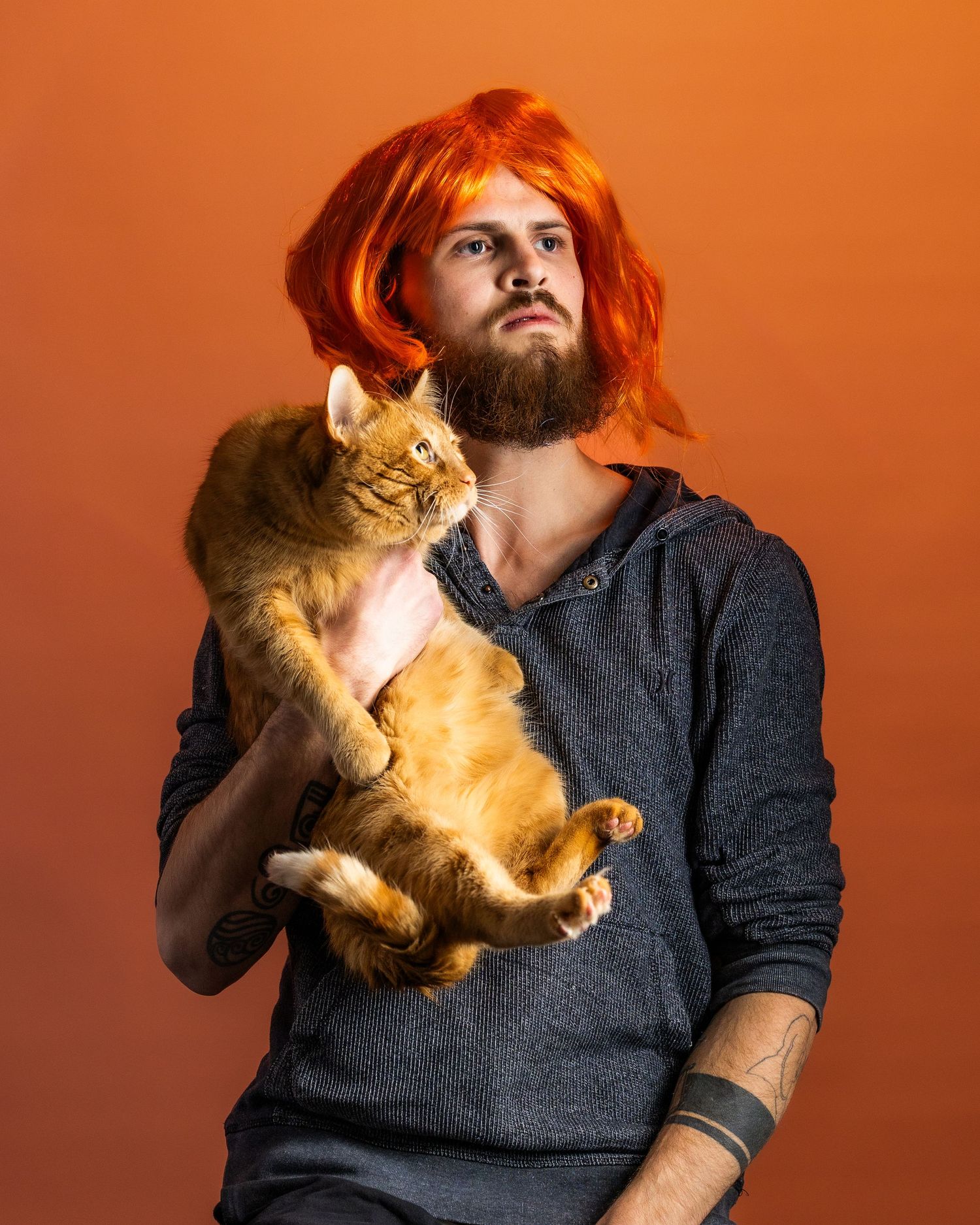 A ginger cat playfully interacts with someone wearing a dark sweater against an orange backdrop.