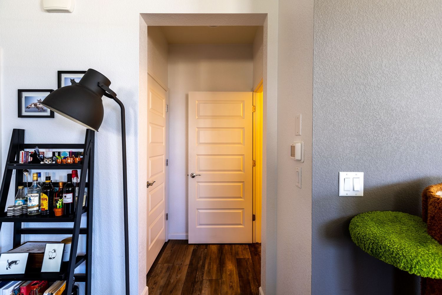 Narrow hallway with dark hardwood floors, white paneled door, and decorative shelf with lamp.