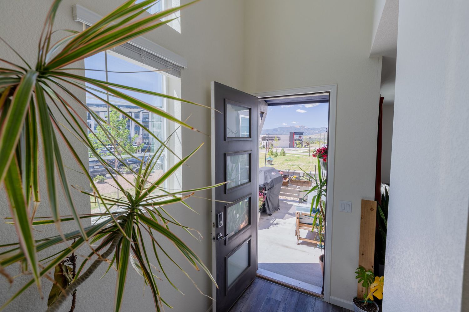 Modern home entryway with open front door, tall ceilings, hardwood floors, and tropical potted plants welcoming natural light.
