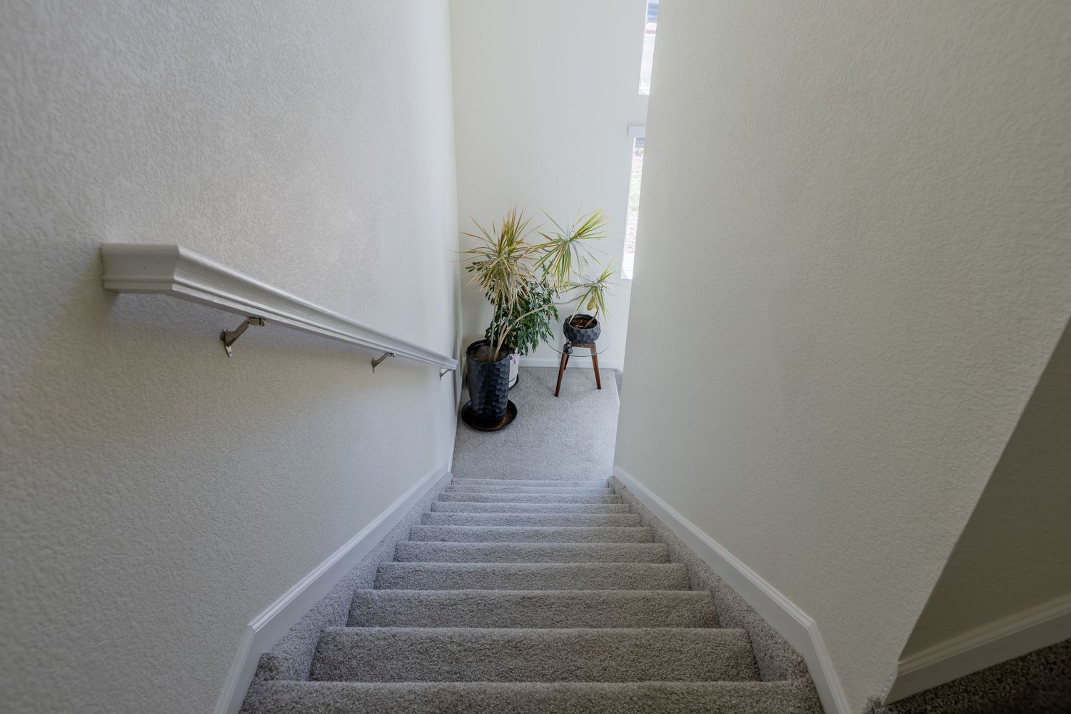 Carpeted staircase with white walls, handrail, and decorative potted plant at the bottom landing.