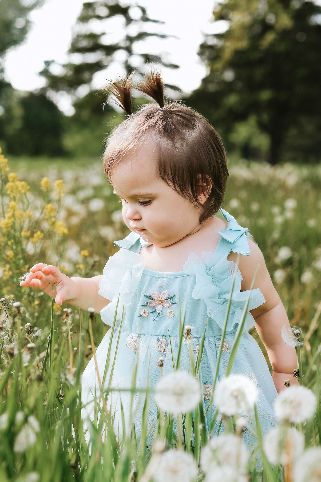 Baby girl in light blue embroidered dress exploring dandelions in a lush green meadow.