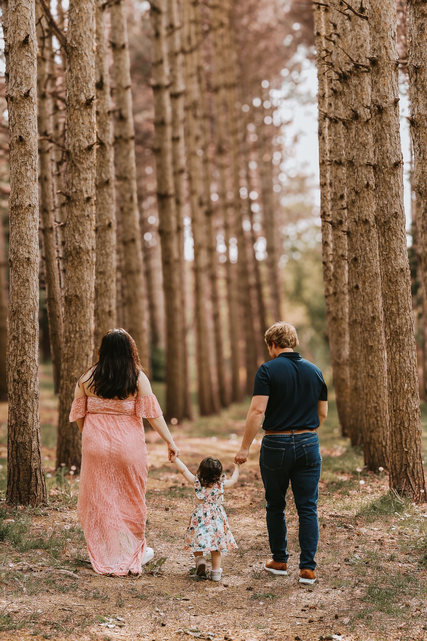 Family of three walking hand-in-hand down a path lined with tall pine trees, seen from behind.