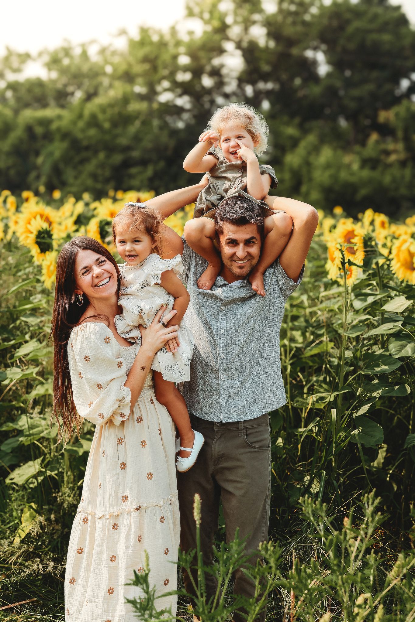 Joyful family of four posing in sunflower field, older child on dad's shoulders, mom holding toddler.