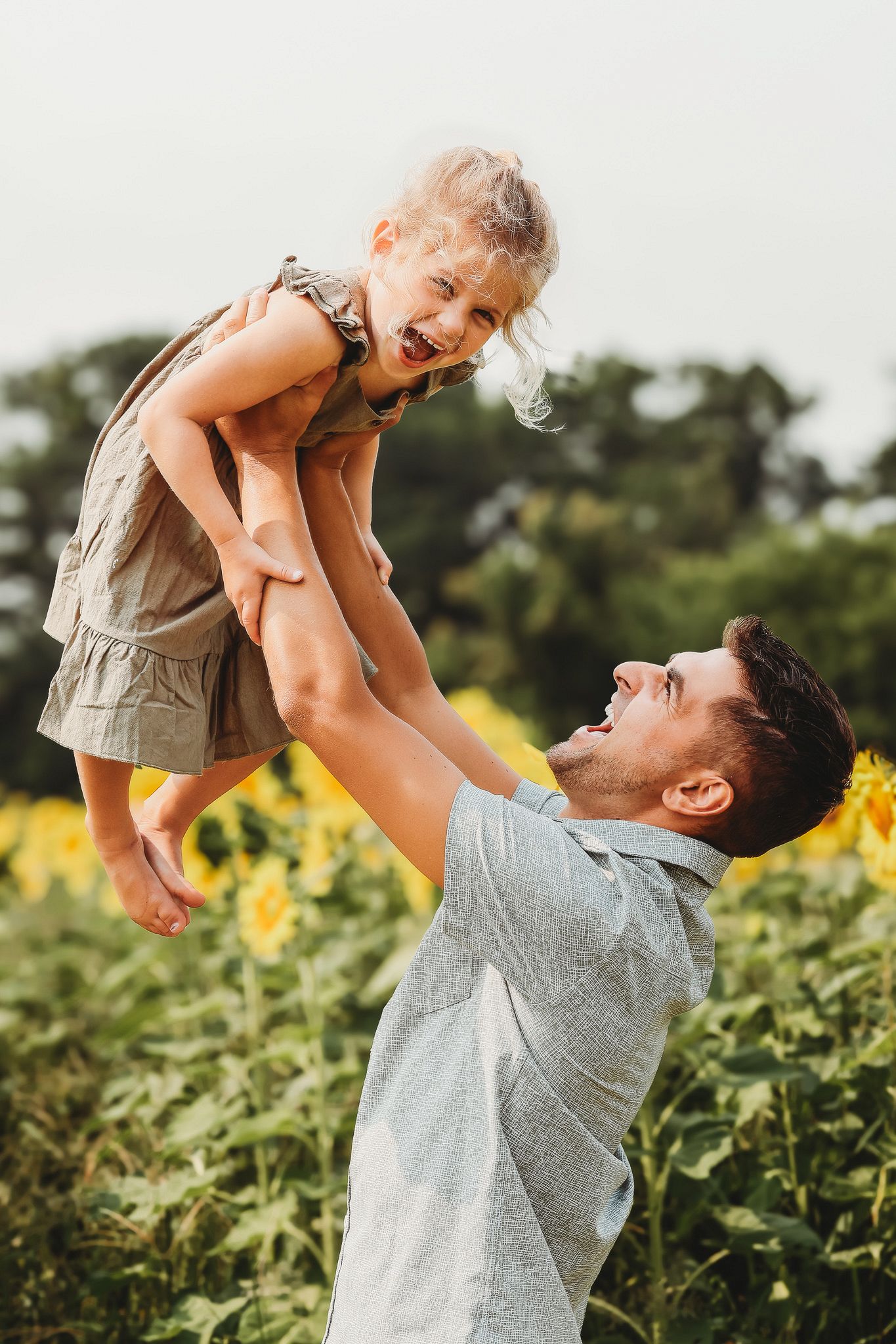 Laughing father lifting excited barefoot daughter high in the air in a sunflower field.