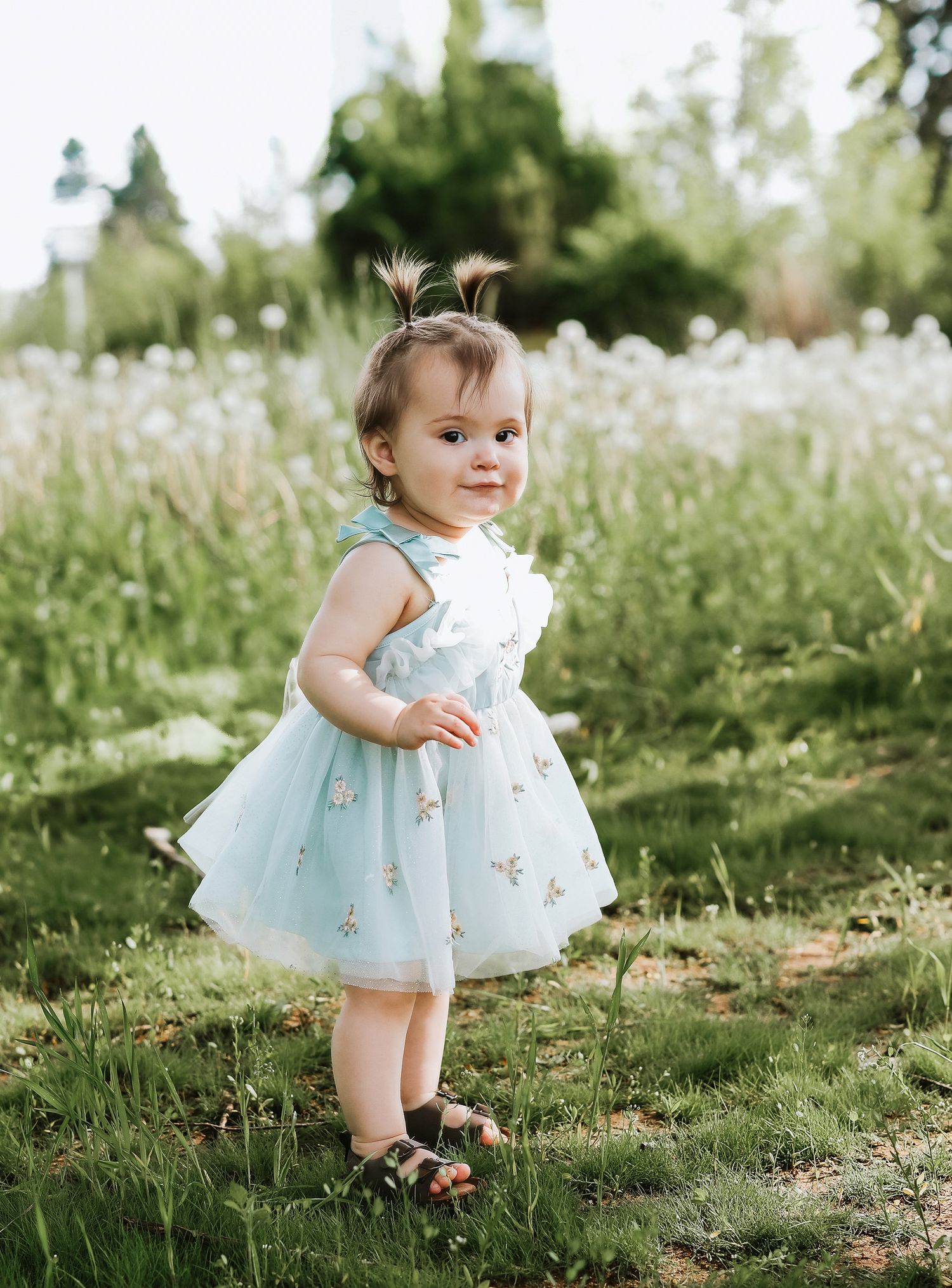 Adorable baby girl in light blue tulle dress with tiny pigtails standing in a wildflower meadow.