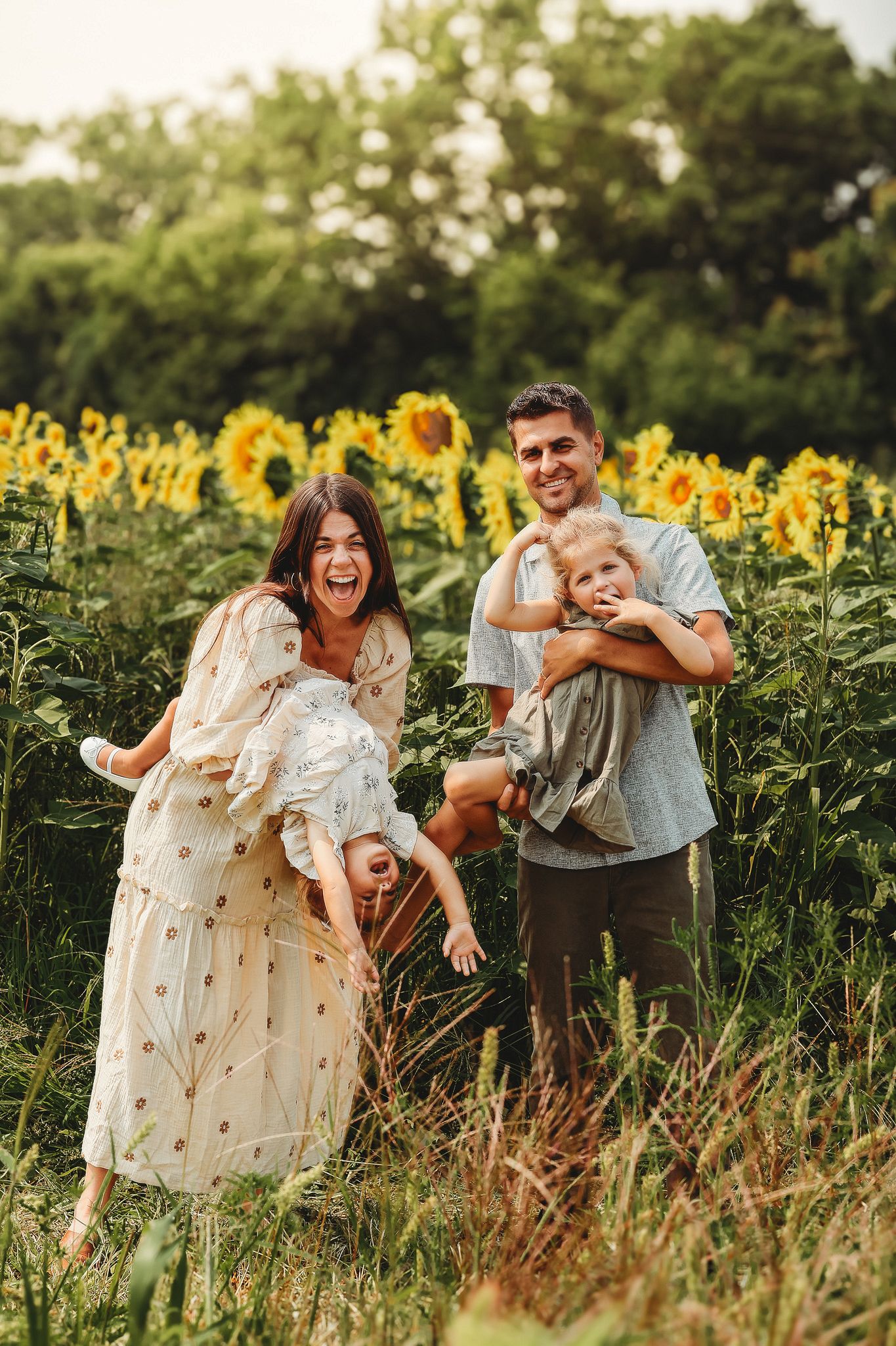 Laughing family of four playing in a sunflower field, mom dipping child while dad holds toddler.