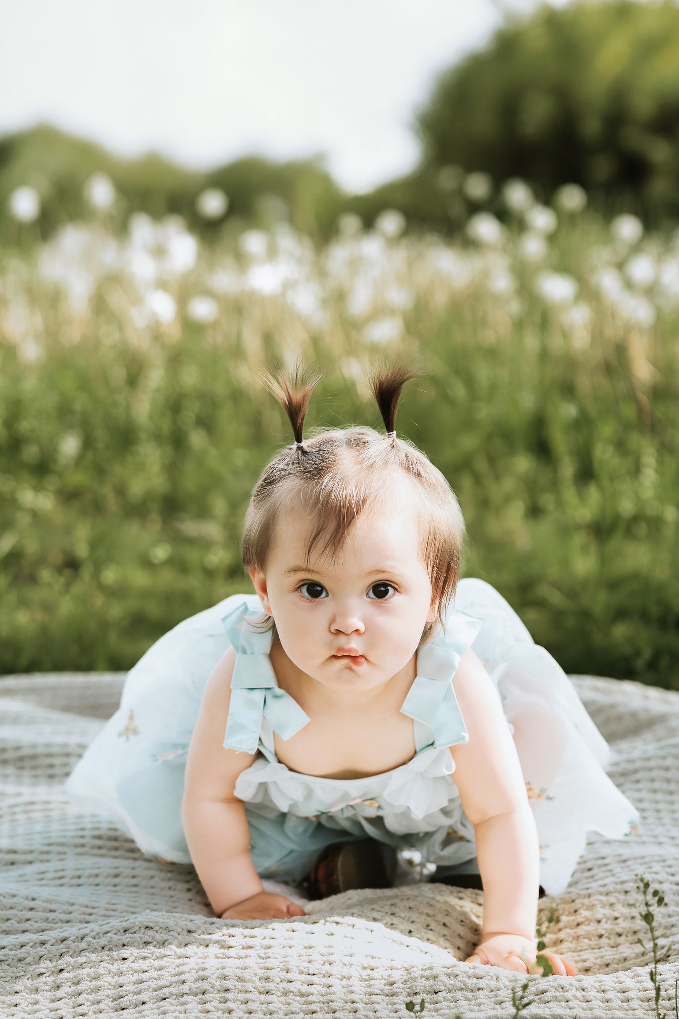 Adorable baby girl with tiny pigtails in a blue dress crawling on a blanket in a meadow.