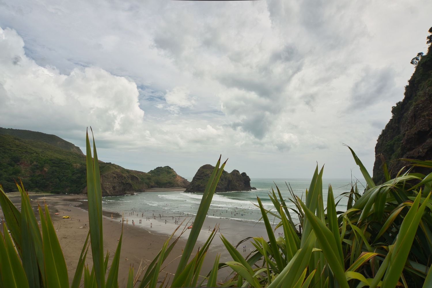 Sandy beach with a rocky headland framed by coastal grasses in the foreground. New Zealand