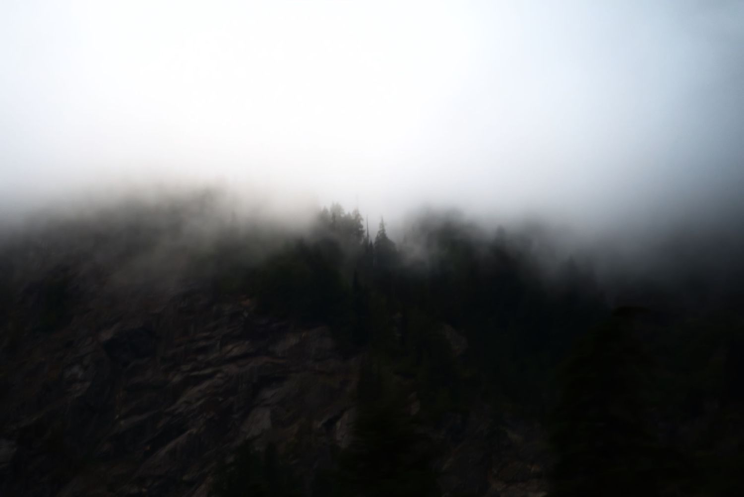 Moody forested mountainside fading into low mist and soft light