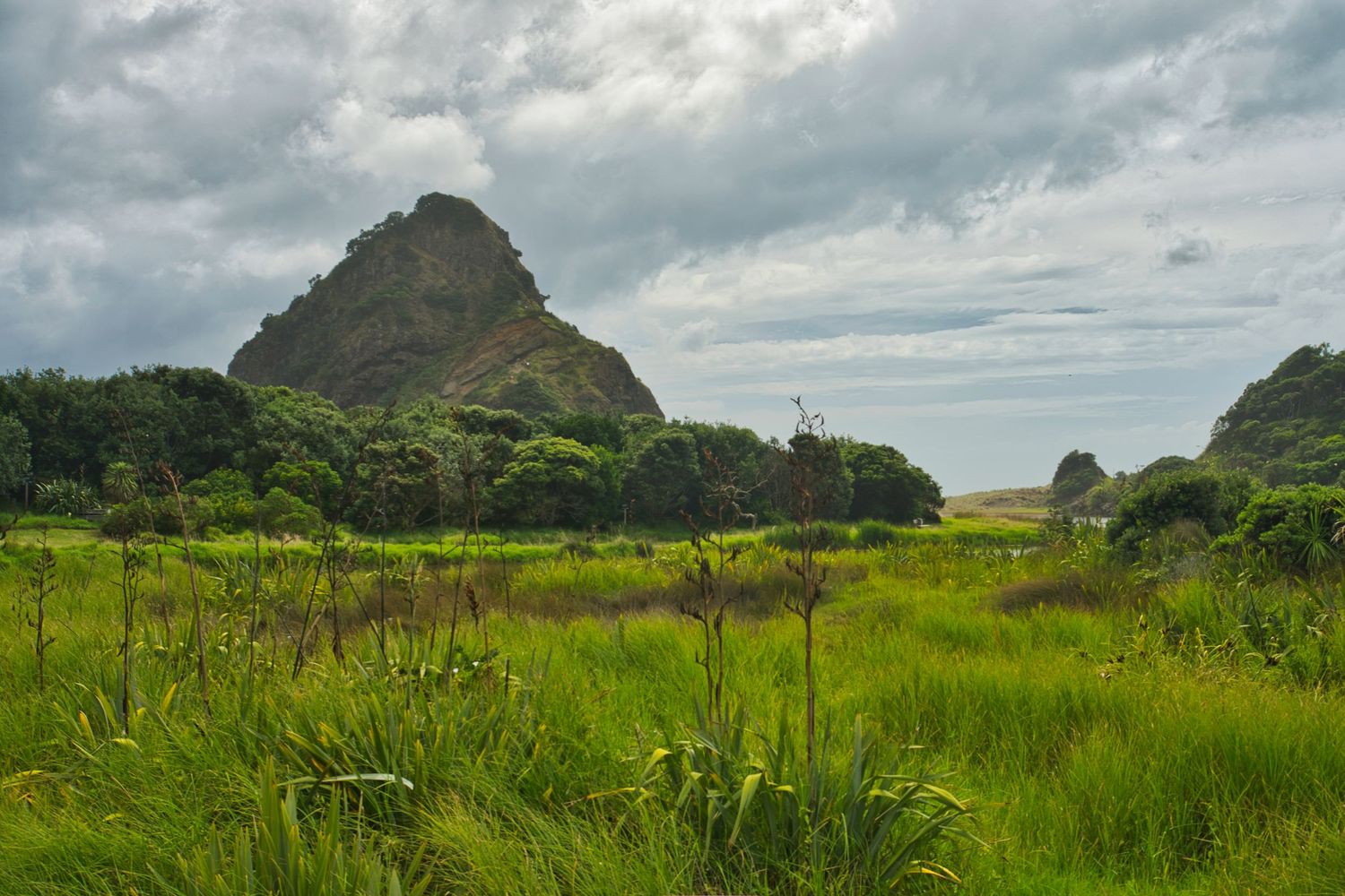 Lush green meadow with a distinctive rocky peak rising in the distance under a cloudy sky. New Zealand