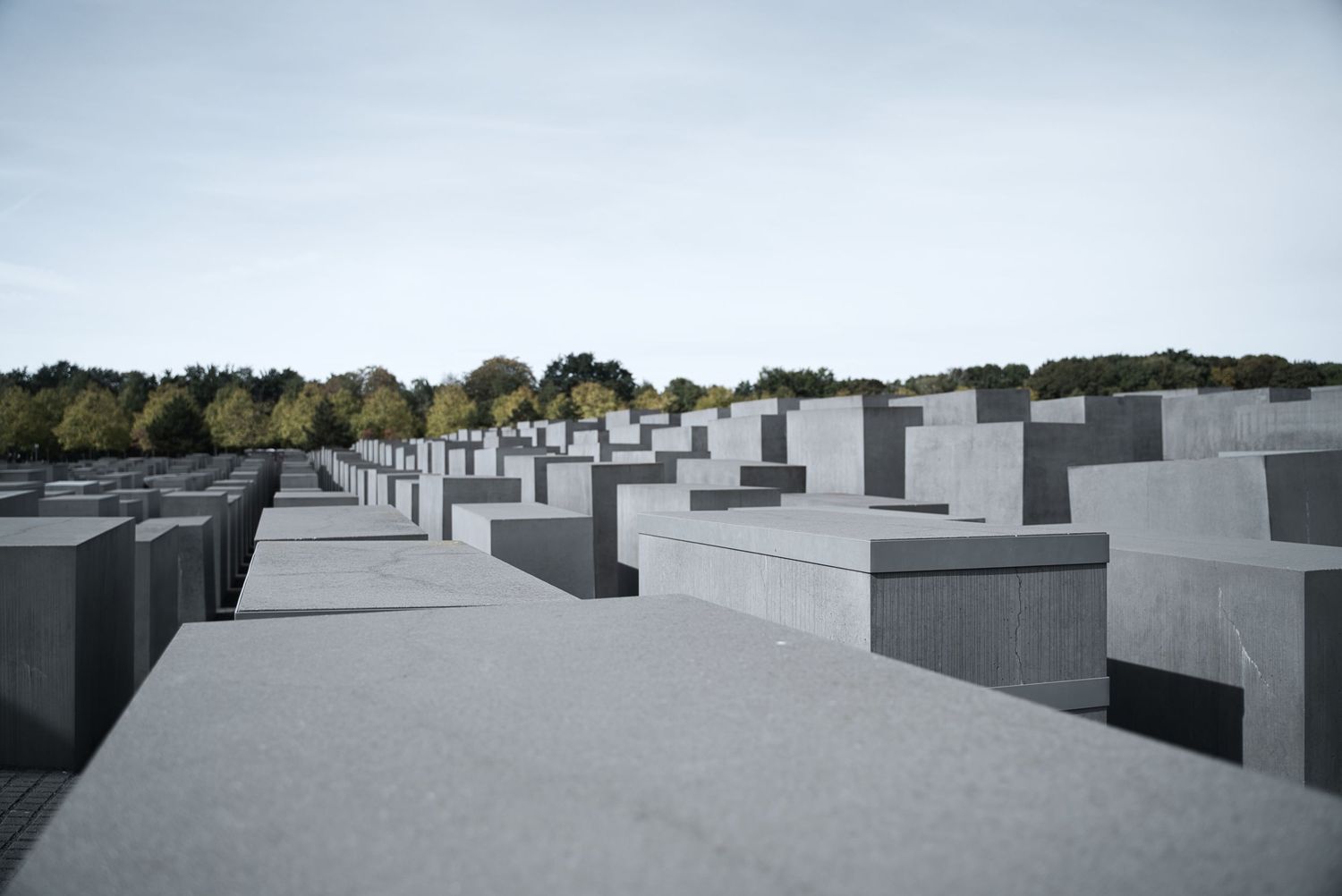 Rows of grey concrete memorial blocks of varying heights stretching toward trees under a clear sky