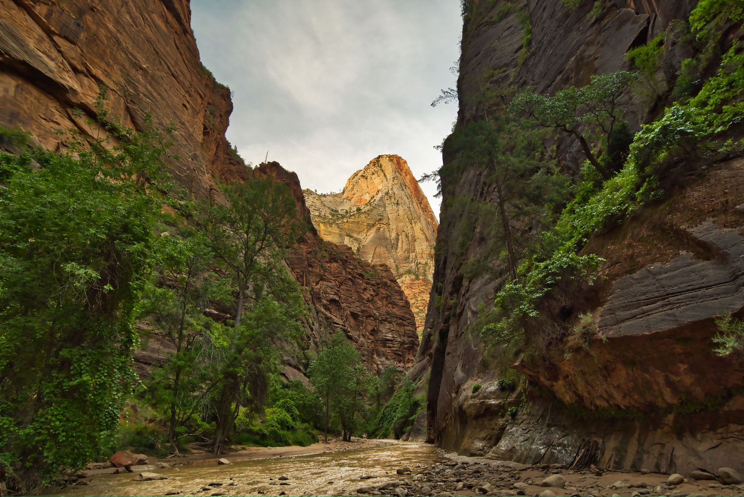 Dramatic canyon with towering red rock walls and green trees lining the valley floor. Utah, Zion