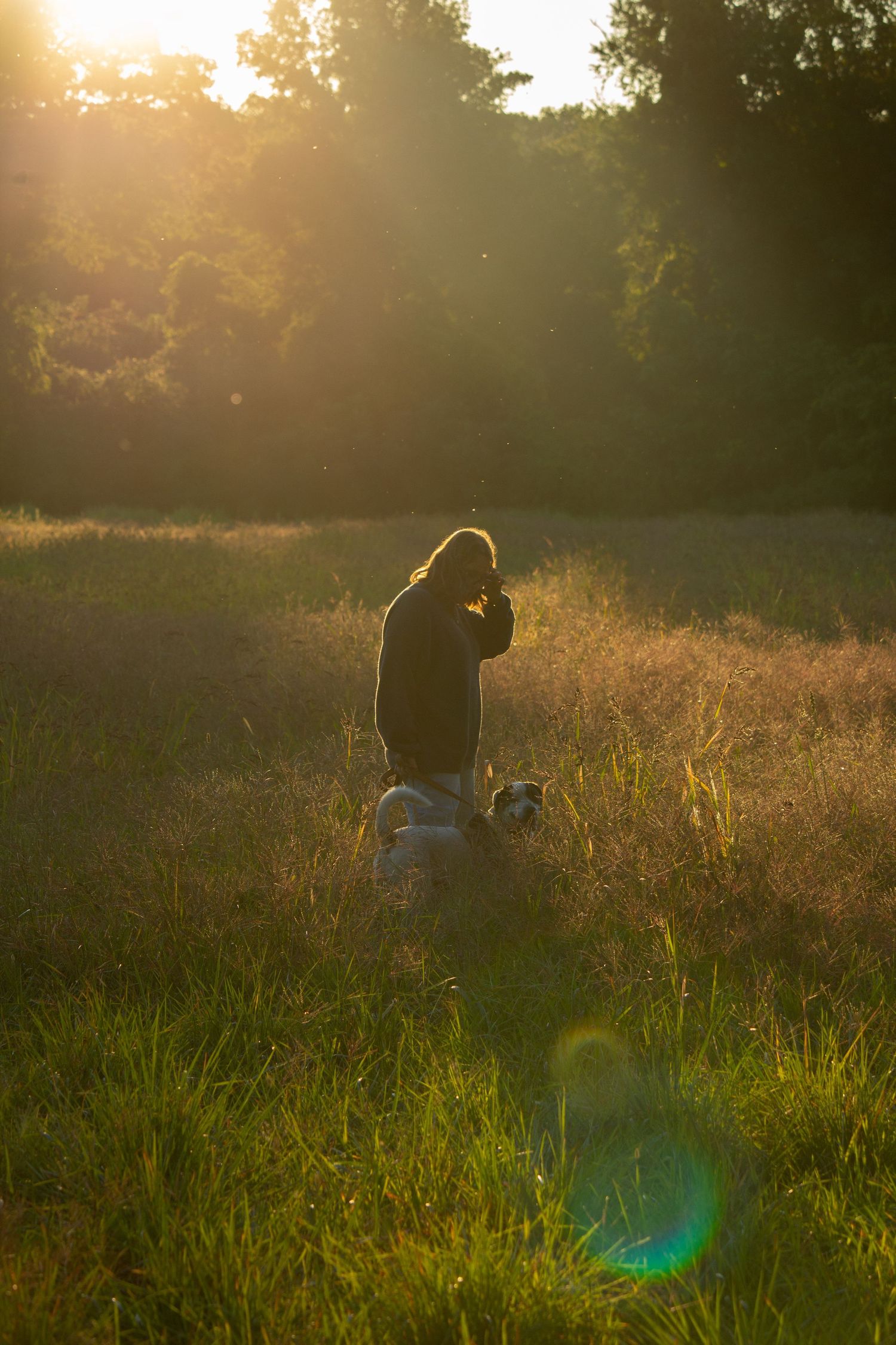 Silhouette of woman standing with dog in golden sunlit meadow surrounded by trees.