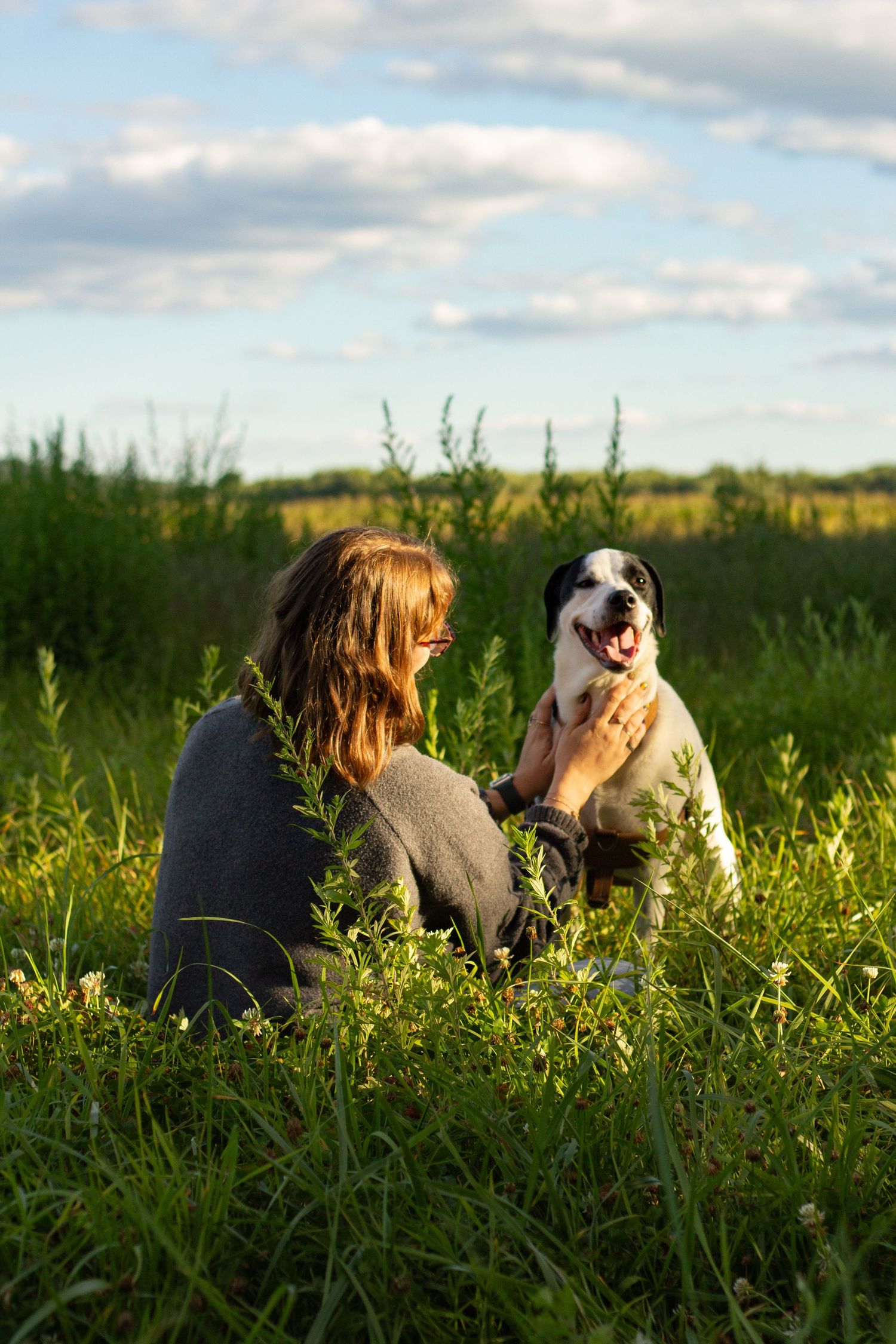 A woman sits in a green meadow petting a happy black and white dog at sunset.