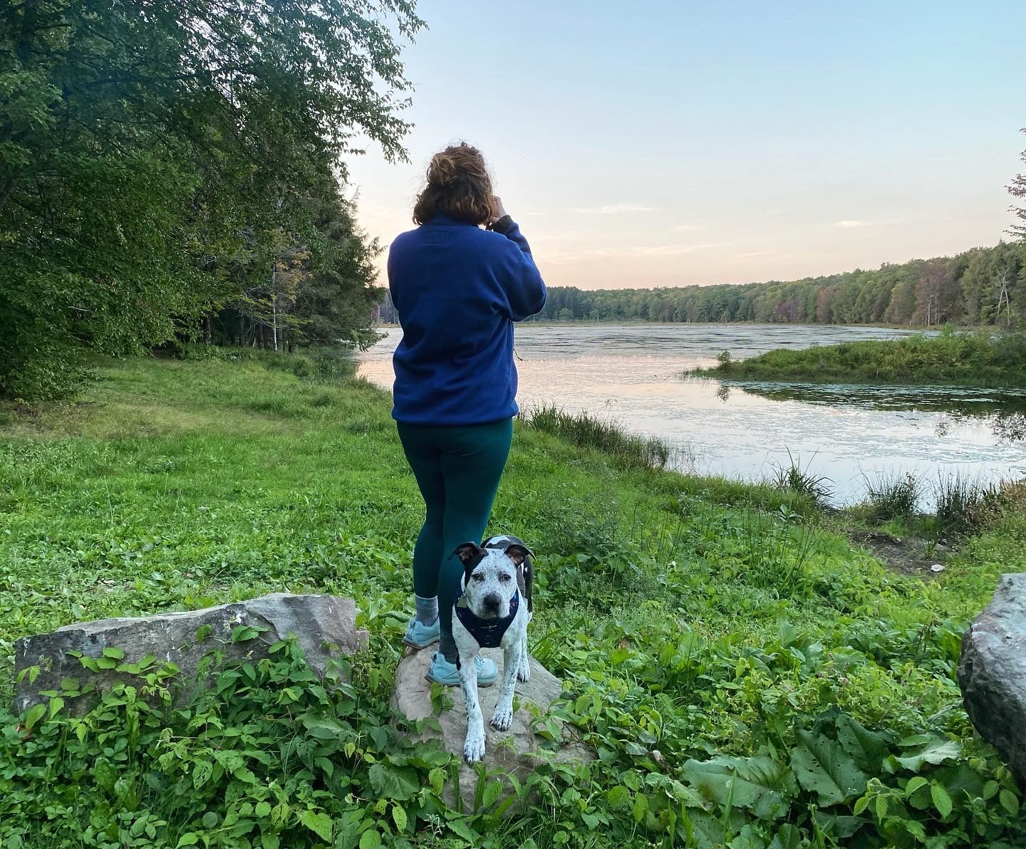 Woman photographing a peaceful river at sunset with her spotted dog beside her.
