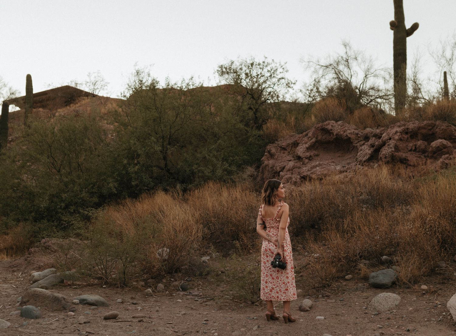Desert landscape with mountain backdrop and cacti at sunset.
