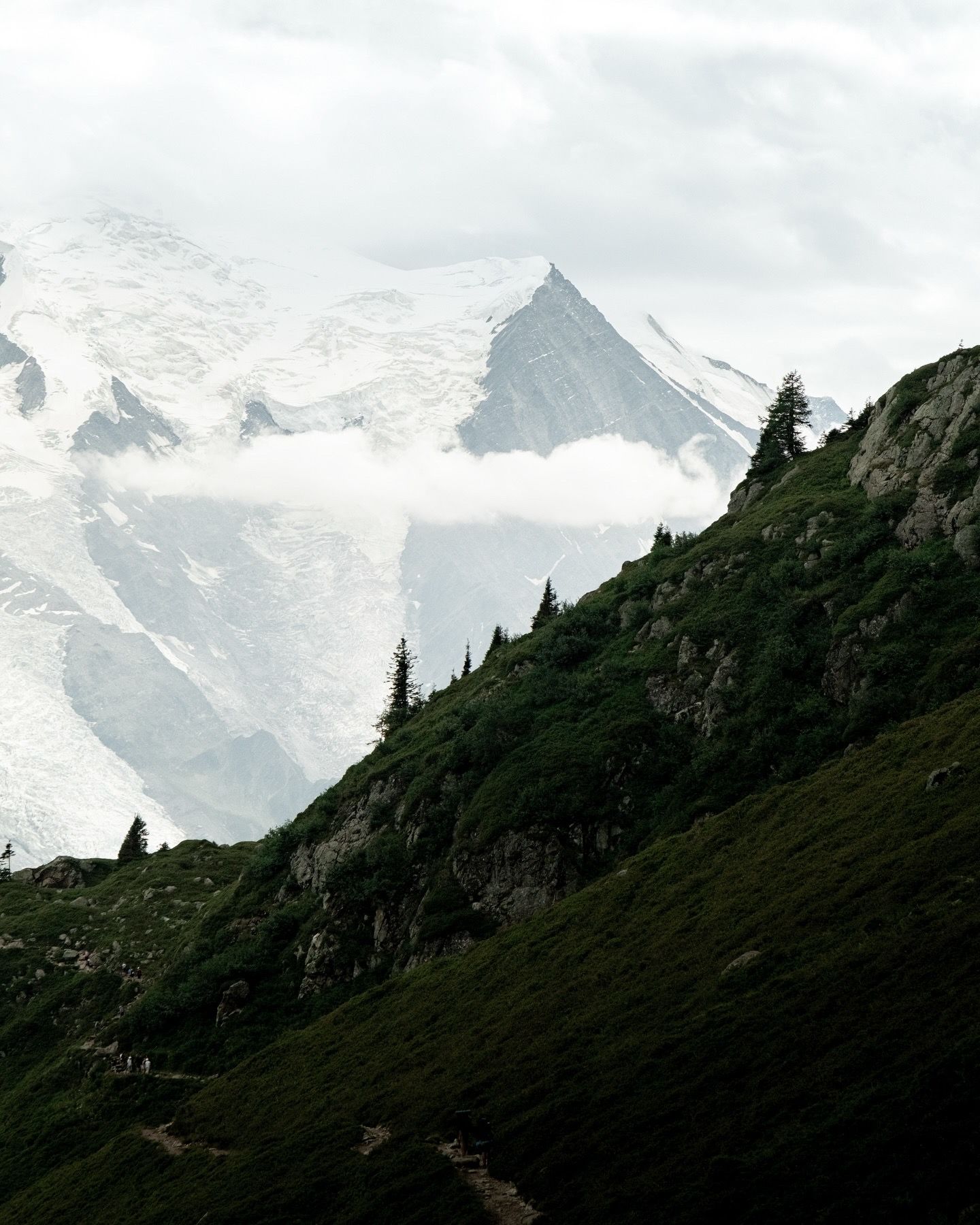 A dramatic snow-capped alpine peak rises above a misty forested mountain slope under an overcast sky.
