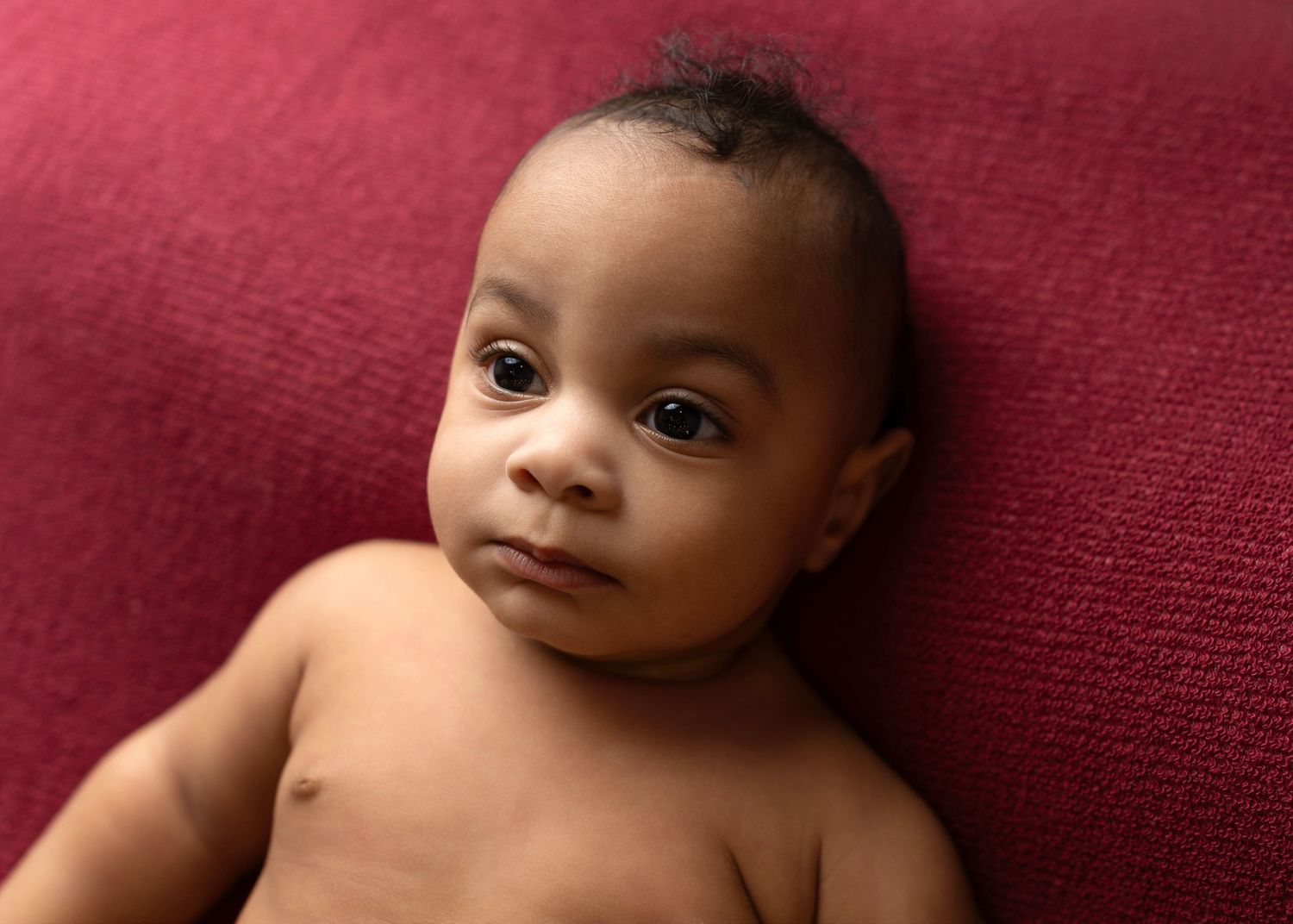 Baby portraits on burgundy background showing sweet expressions and natural poses.