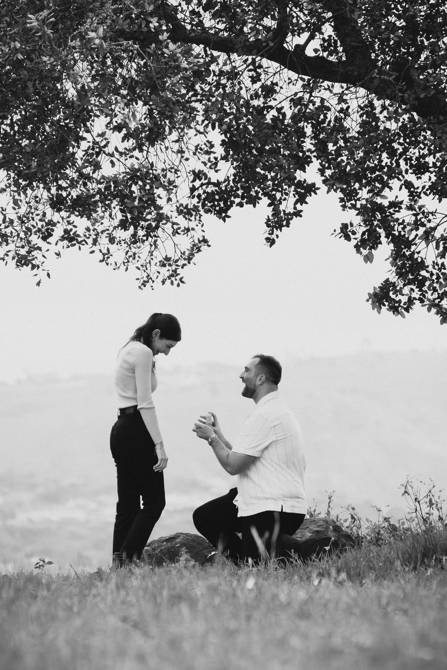 Candid black and white surprise proposal under a tree at Franceschi Park Santa Barbara wedding photographer Herics Photo