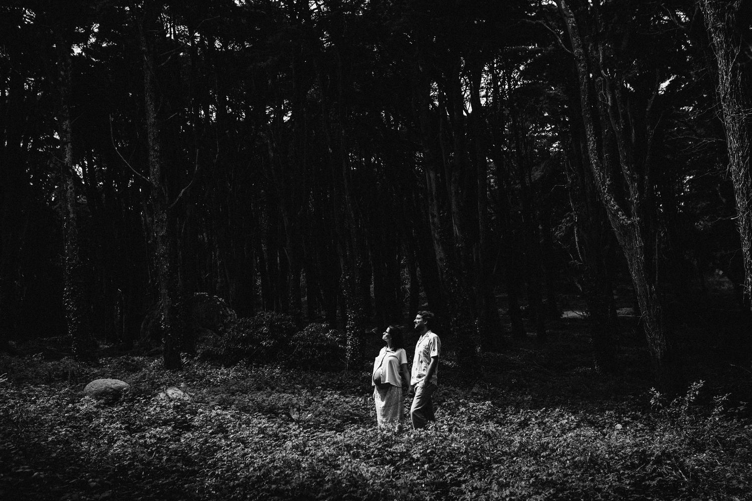 Black and white photo of a winding forest path surrounded by tall trees.