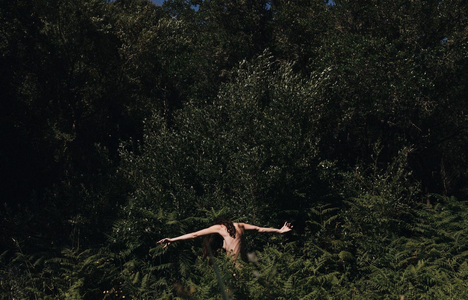Silhouette of figure with outstretched arms against lush green foliage.