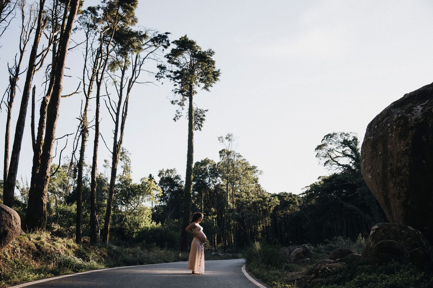 Winding forest road lined with tall eucalyptus trees under a bright sky.