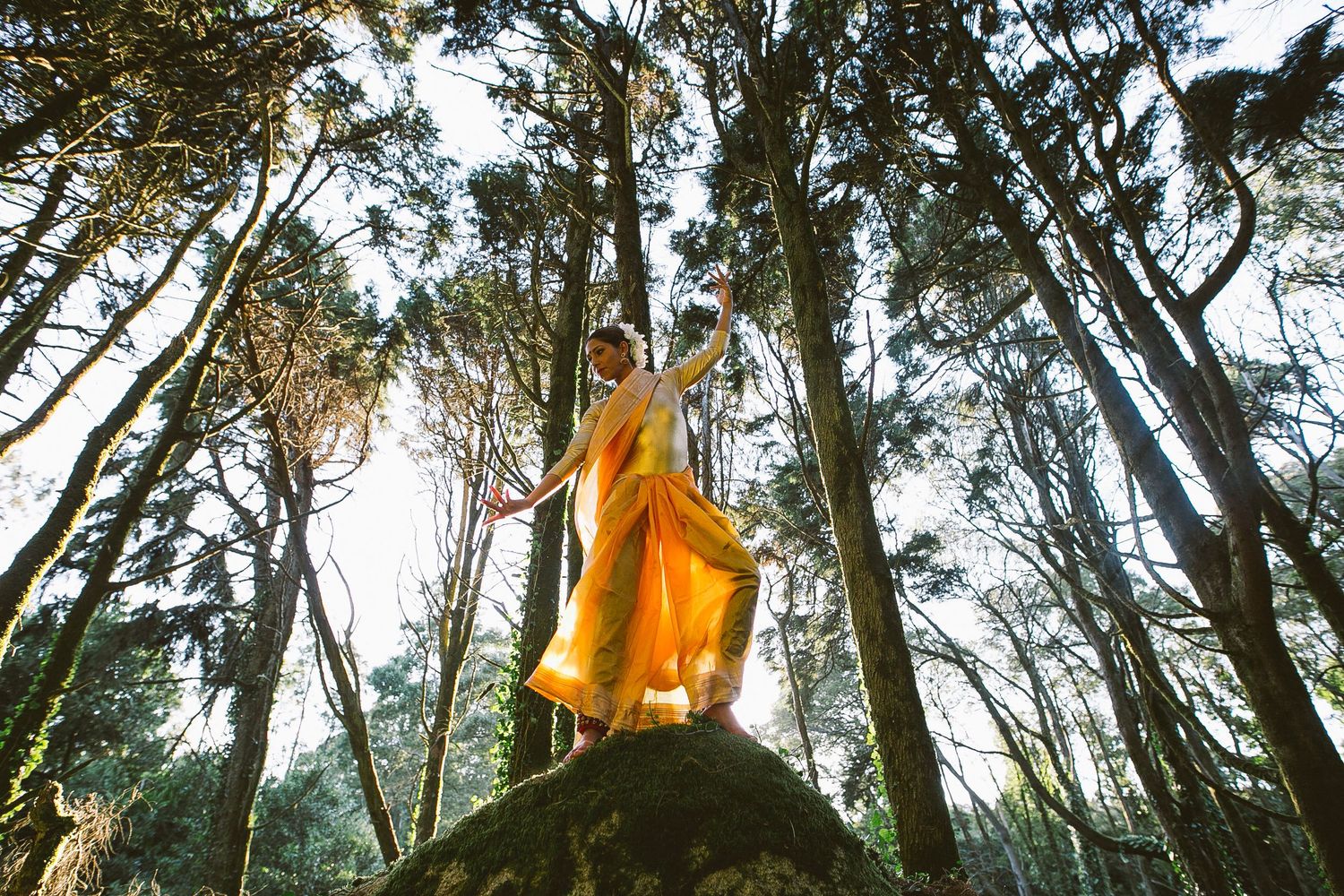 Person in flowing yellow dress stands on rock among tall forest trees.