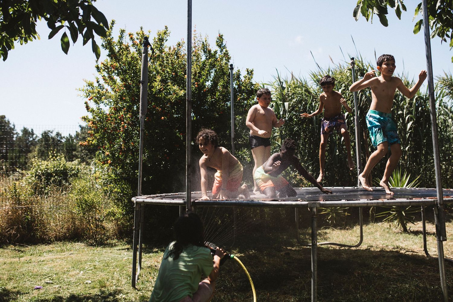 Group enjoying outdoor activities in a sunny backyard with trees.
