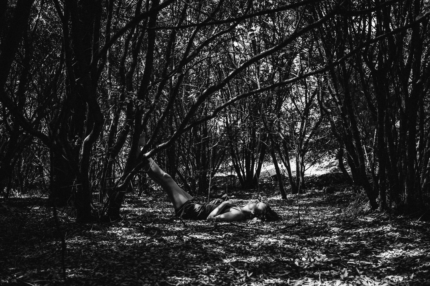 Black and white photograph of a forest path with dense trees.