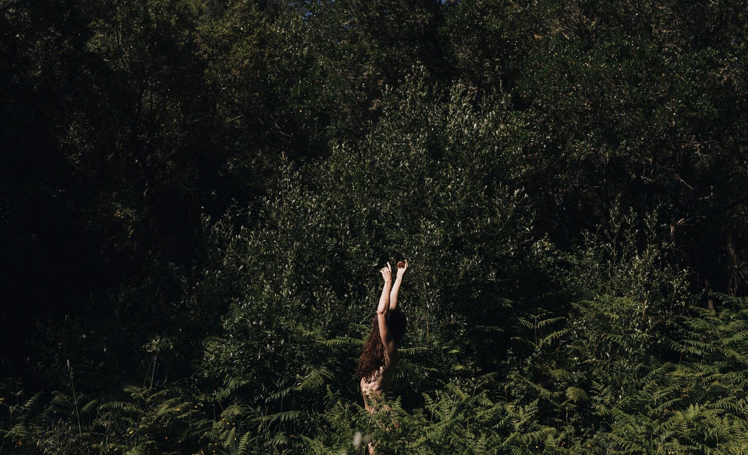 Figure leaping gracefully in front of dense forest backdrop.